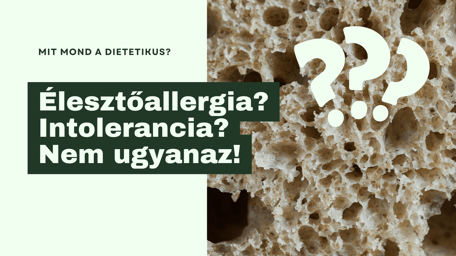 Mikor tilos az élesztő? - Útmutató allergia és intolerancia esetére - MIMOOSA